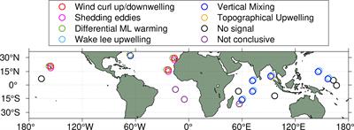 Island Mass Effect: A Review of Oceanic Physical Processes